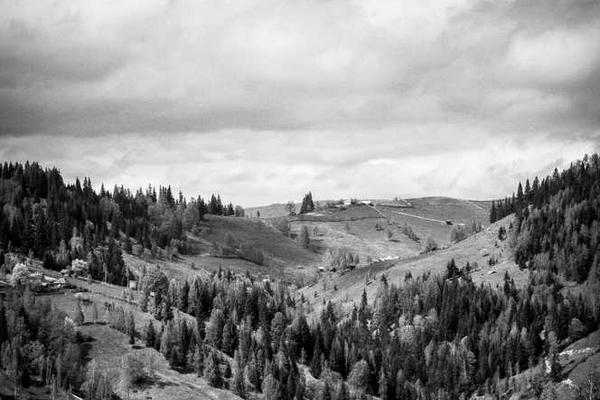 免费的MBTI测试平台有哪些？2024年最全测评指南